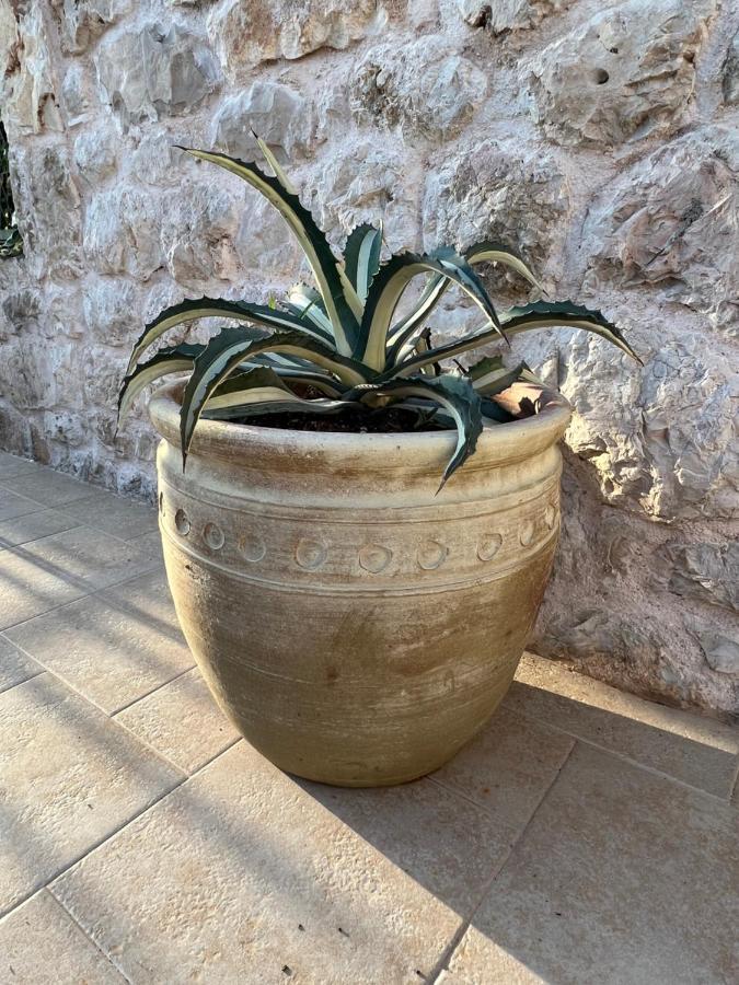 Jakov & Antonia Heritage Estate هفار المظهر الخارجي الصورة